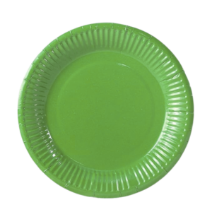 Assiette vert lot de 10 #1257