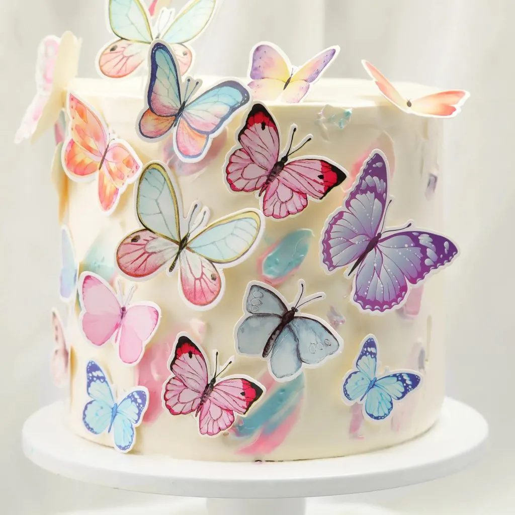 IMG-20240903-WA0010-1024x1024